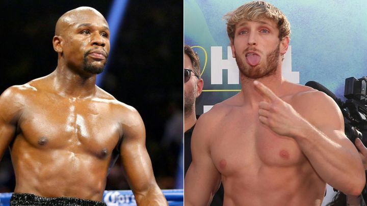 What Are The Covid 19 Restrictions For The Mayweather Vs Logan Paul Fight As Com